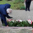 zdjęcie nr 23
