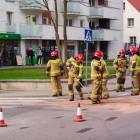 zdjęcie nr 8