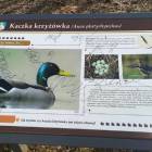 Fotka nr 2 z 3