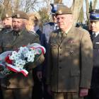 zdjęcie nr 33
