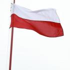 zdjęcie nr 