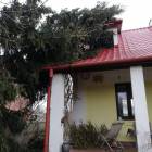 zdjęcie nr 76