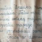 zdjęcie nr 12