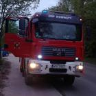 Fotka nr 2 z 4