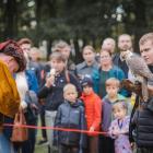 zdjęcie nr 33
