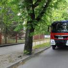 zdjęcie nr 8