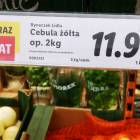 zdjęcie nr 7