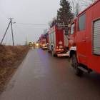 Fotka nr 1 z 8