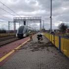 zdjęcie nr 32