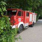 Fotka nr 1 z 2