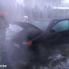 Fotka nr 2 z 4