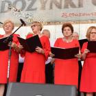 zdjęcie nr 49