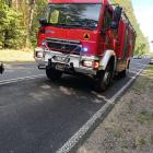 Fotka nr 5 z 7