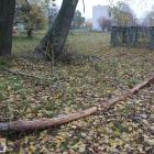 zdjęcie nr 36
