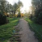 zdjęcie nr 31