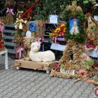 zdjęcie nr 15