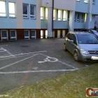 Fotka nr 1 z 2