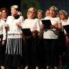 zdjęcie nr 25