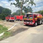 Fotka nr 3 z 13