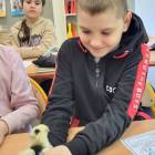 zdjęcie nr 33