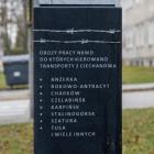 Fotka nr 4 z 10