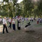 zdjęcie nr 50