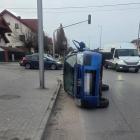 Fotka nr 1 z 2
