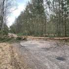 zdjęcie nr 43