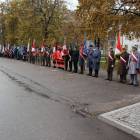 zdjęcie nr 15