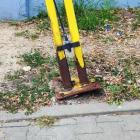 Fotka nr 1 z 3