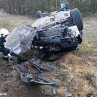 Fotka nr 2 z 4