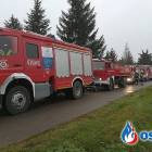 Fotka nr 2 z 4
