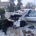 Fotka nr 2 z 14
