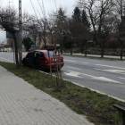 zdjęcie nr 7