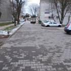 Fotka nr 5 z 7