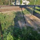 Fotka nr 4 z 12