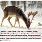 Fotka nr 0 z 1