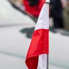 zdjęcie nr 49