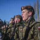 Fotka nr 4 z 8