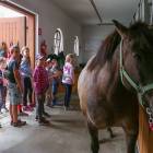 zdjęcie nr 20