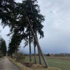 Fotka nr 4 z 14