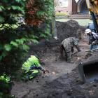 zdjęcie nr 45