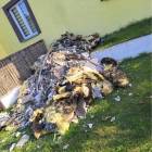 zdjęcie nr 7