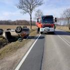 Fotka nr 2 z 3