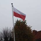 zdjęcie nr 49