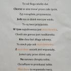 zdjęcie nr 109