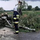 zdjęcie nr 32
