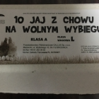 Fotka nr 1 z 4