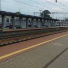 zdjęcie nr 7