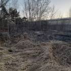Fotka nr 2 z 17